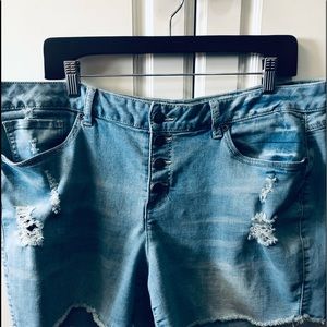 Cato 18W Jean Shorts